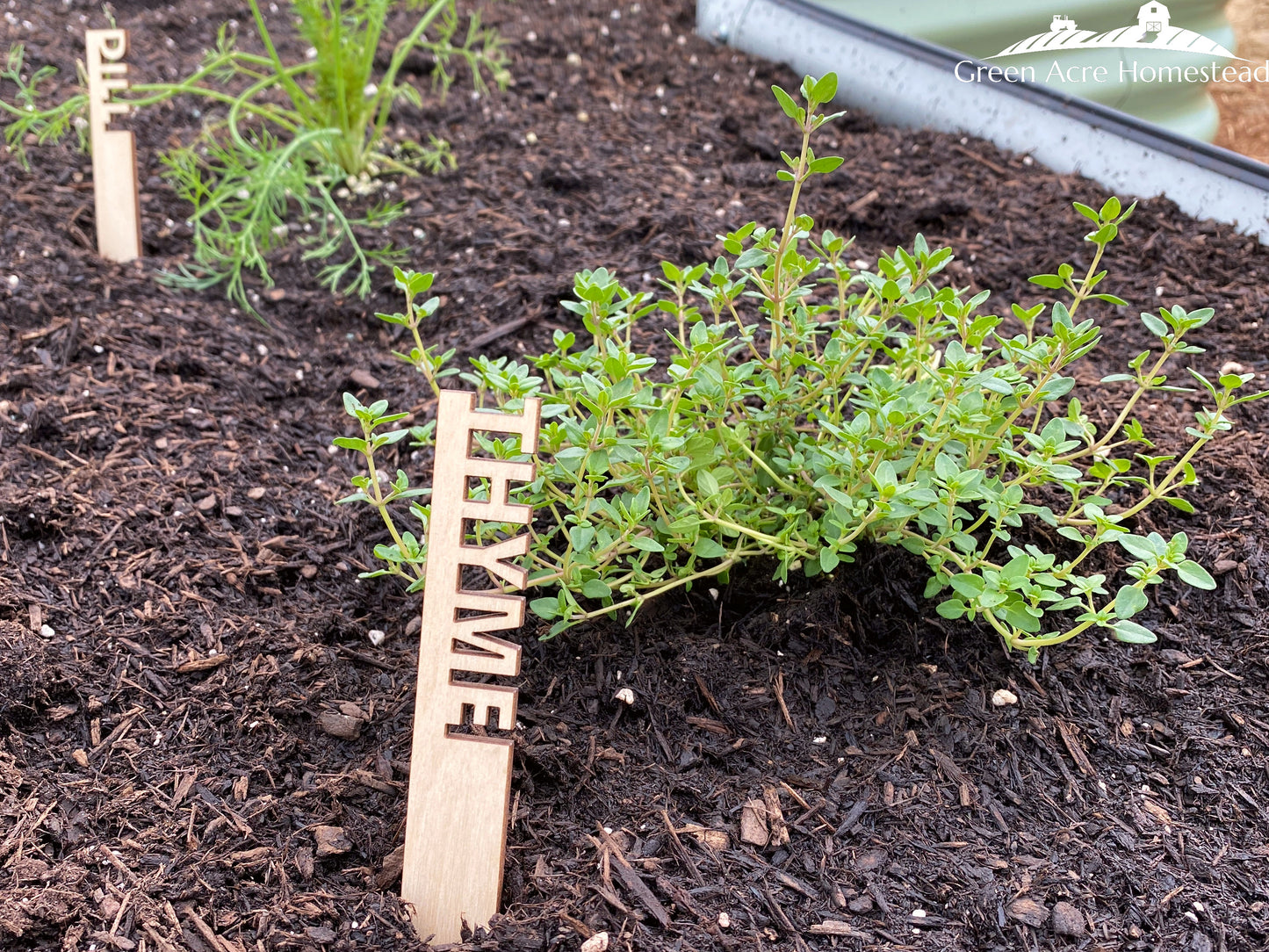 Garden Plant Marker - Vegetable, Flower & Herb - Personalized for You!