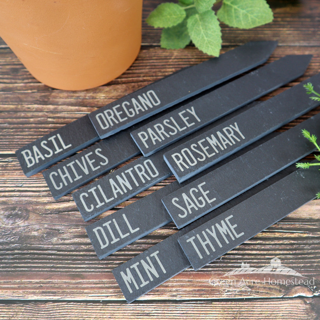Kitchen Herb Collection - Slate Plant Markers (10 pack)