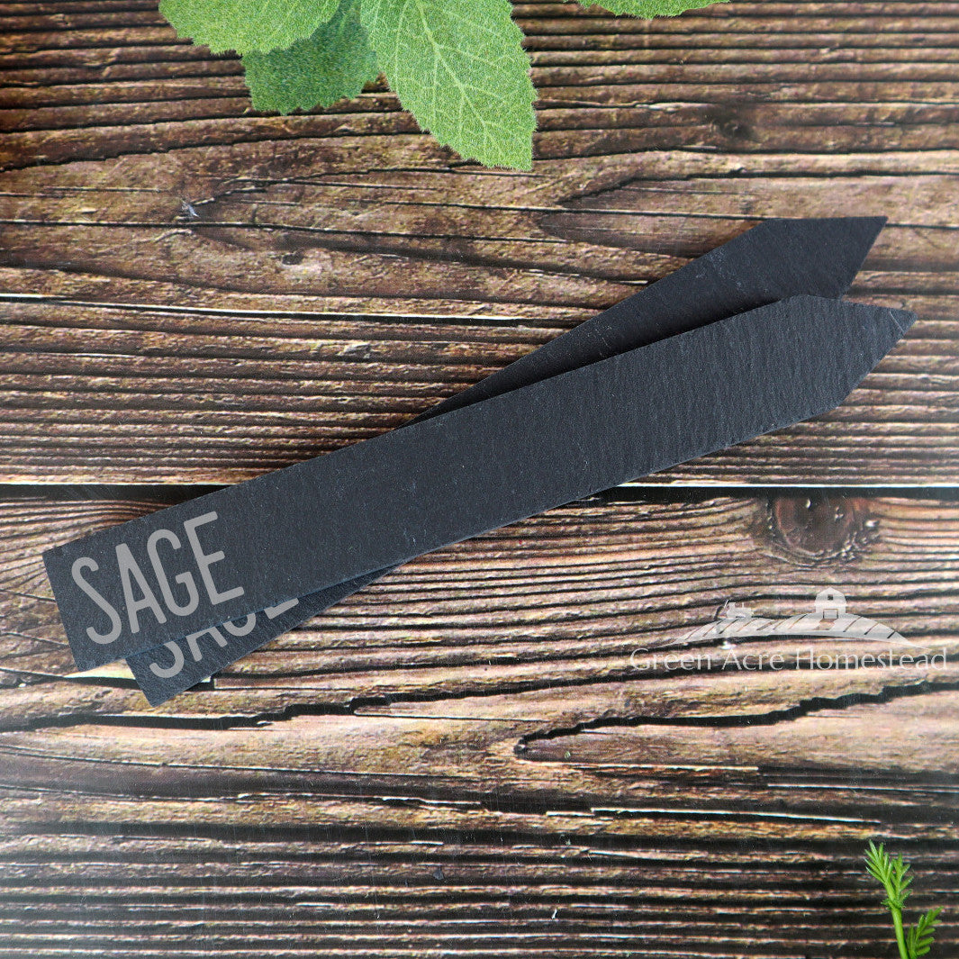 Medicinal Herb Collection - Slate Plant Markers (10 pack)